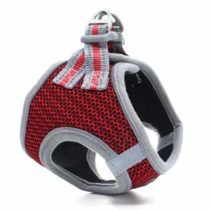 Vsepropejska Dumo postroj pro psa s vodítkem | 26 – 43 cm Barva: Červená