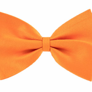 Vsepropejska Gentle oranžový motýlek pro psa | 20 - 42 cm