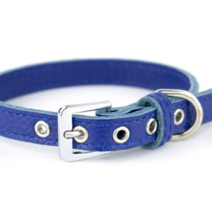 Vsepropejska Lax obojek pro psa | 20 - 29 cm Barva: Modrá