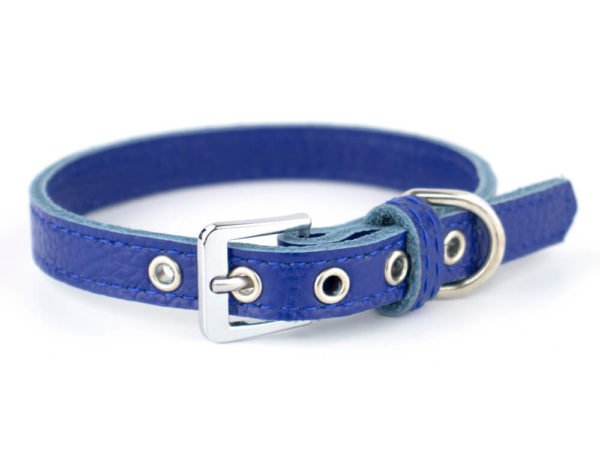 Vsepropejska Lax obojek pro psa | 20 - 29 cm Barva: Modrá