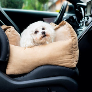 Vsepropejska Sorel béžová autosedačka pro psa