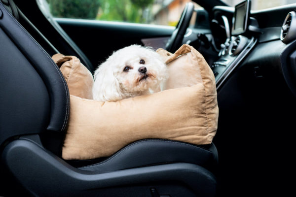 Vsepropejska Sorel béžová autosedačka pro psa