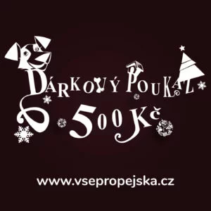 Vsepropejska Vínový dárkový poukaz (elektronický) Typ: 500 Kč