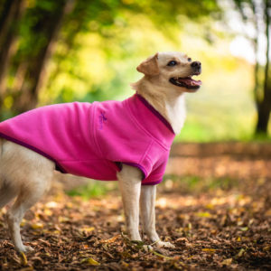 Vsepropejska Jambo sportovní mikina pro psa Barva: Růžová