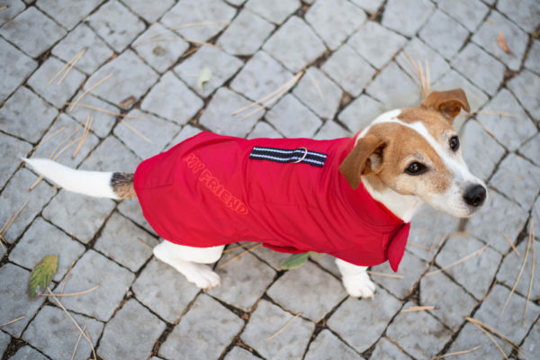 Vsepropejska Snowy zimní bunda „My friend“ pro psa Barva: Červená