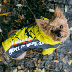 Vsepropejska Alba sportovní pláštěnka pro psa Barva: Žlutá