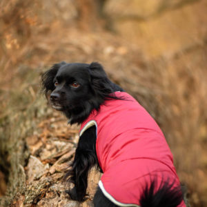 Vsepropejska Celine zimní bunda pro psa Barva: Vínová