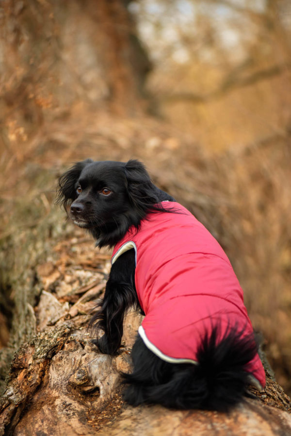 Vsepropejska Celine zimní bunda pro psa Barva: Vínová