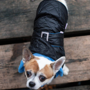 Vsepropejska Coldy bunda pro psa s kapucí Barva: Černo-modrá