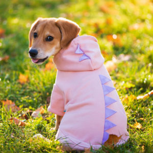 Vsepropejska Dino mikina pro psa s kapucí Barva: Růžová