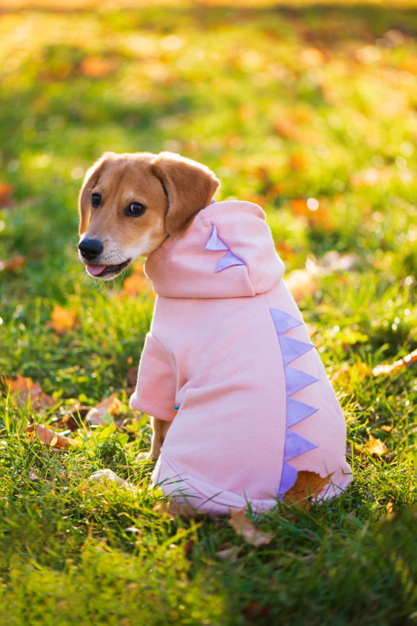Vsepropejska Dino mikina pro psa s kapucí Barva: Růžová