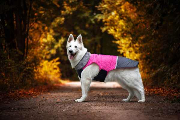 Vsepropejska Fogy stylová bunda pro psa Barva: Růžová