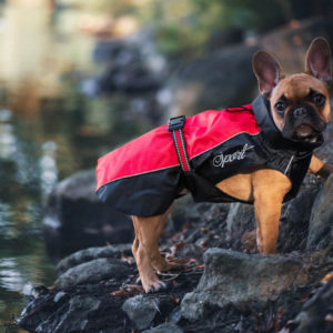 Vsepropejska Heda pláštěnka pro psa Barva: Červená