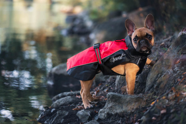 Vsepropejska Heda pláštěnka pro psa Barva: Červená