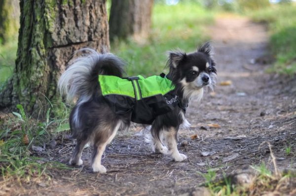 Vsepropejska Heda pláštěnka pro psa Barva: Zelená