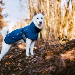Vsepropejska Maka zimní bunda pro psa Barva: Modrá