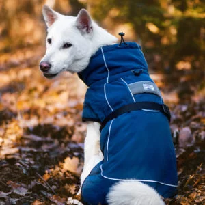 Vsepropejska Maka zimní bunda pro psa Barva: Modrá