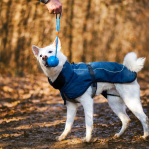 Vsepropejska Maka zimní bunda pro psa Barva: Modrá