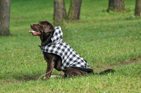Vsepropejska Max zimní károvaná bunda pro psa Barva: Černo-bílá