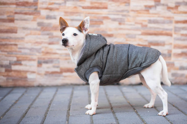 Vsepropejska Mix zimní bunda pro psa Barva: Šedá