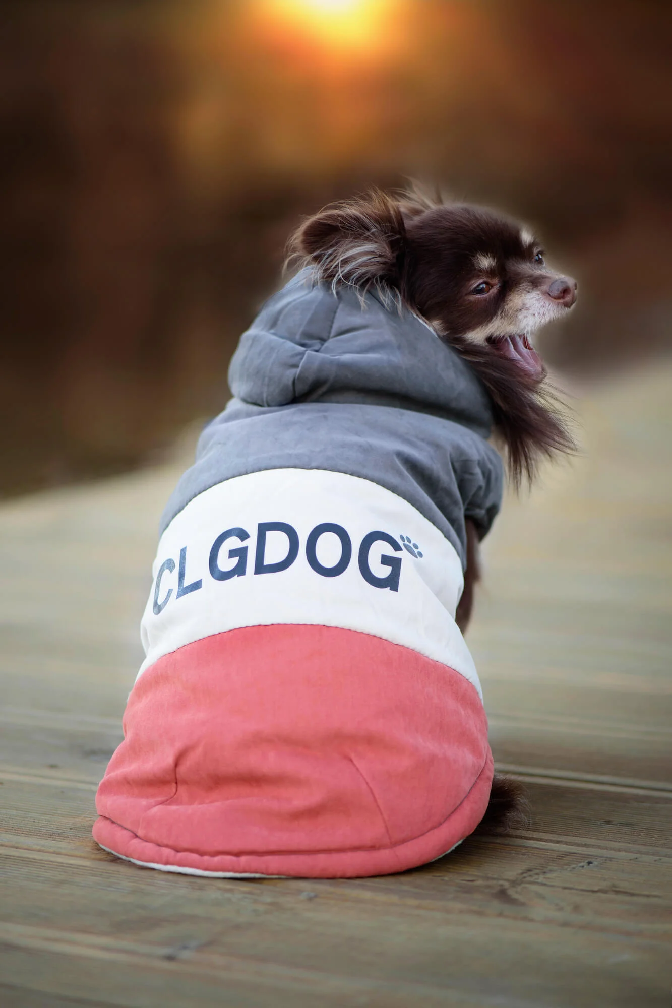 Vsepropejska Oggi zimní bunda pro psa s kapucí Barva: Šedá