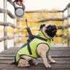 Vsepropejska Softshellová bunda pro psa s postrojem Barva: Šedo-zelená