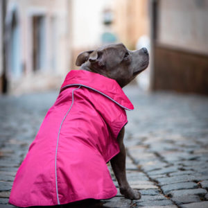Vsepropejska Dasty bunda pro psa s reflexními prvky Barva: Vínová