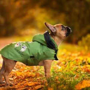 Vsepropejska Autumn pláštěnka pro psa Barva: Zelená