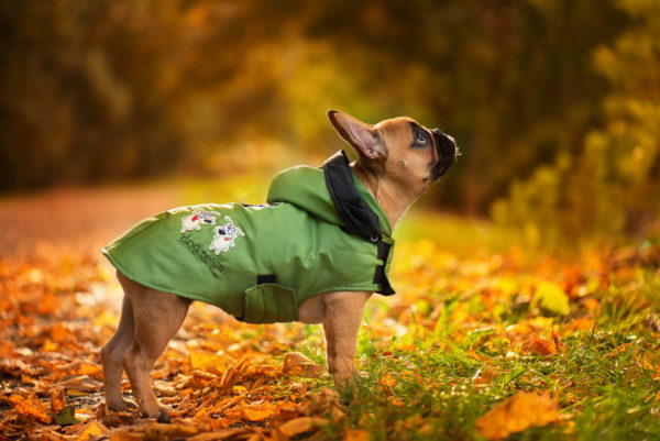 Vsepropejska Autumn pláštěnka pro psa Barva: Zelená