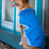 Vsepropejska Briana fleecová mikina pro psa Barva: Modrá