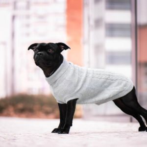 Vsepropejska Rixi svetr pro psa Barva: Šedá