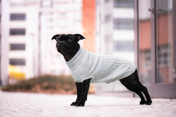 Vsepropejska Rixi svetr pro psa Barva: Šedá