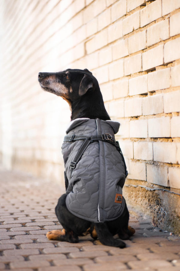 Vsepropejska Barbo zimní bunda pro psa s postrojem Barva: Šedá