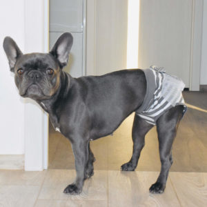 Vsepropejska Cute šedé hárací kalhotky pro psa Obvod slabin (cm): 38 - 44