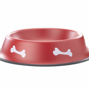 Vsepropejska Dish červená miska pro psa se vzorem kosti Rozměr (cm): 22