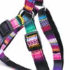 Vara postroj pro psa | 40 – 60 cm Barva: Fialová - Image 2