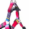 Vara postroj pro psa | 40 – 60 cm Barva: Modrá - Image 2