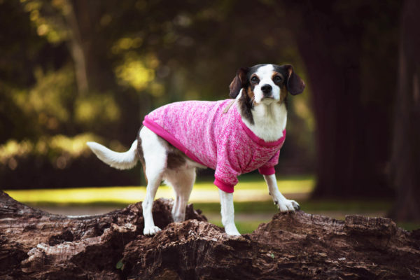 Vsepropejska Classic mikina pro psa Barva: Tmavě růžová