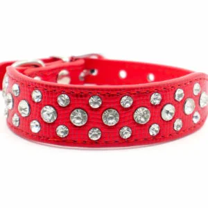 Vsepropejska Lesk obojek pro psa s kamínky | 22 - 37 cm Barva: Červená