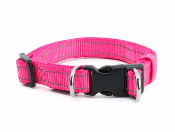Vsepropejska Blanka obojek s podšívkou pro psa | 21 - 54 cm Barva: Růžová