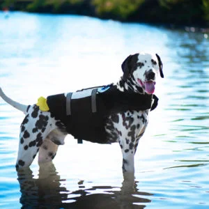 Vsepropejska Flava plovací vesta pro psa Barva: Černá