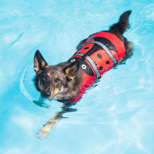 Vsepropejska Flava plovací vesta pro psa Barva: Červená