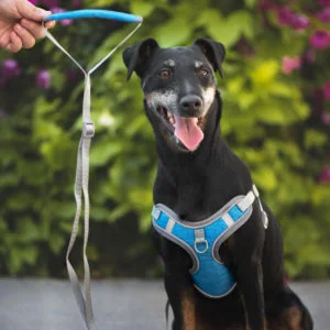 Obvod hrudníku: 43 - 53 cm