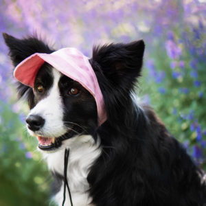 Vsepropejska Mufi kšiltovka pro psa Barva: Růžová