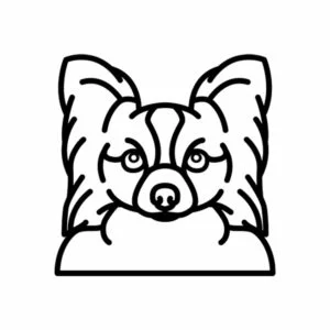 Vsepropejska Psí dekorace na zeď Plemeno: Maltézský psík