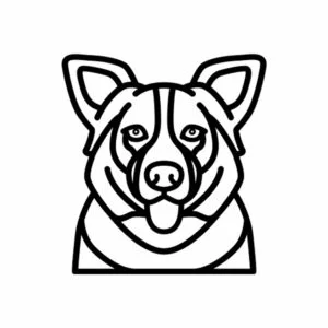 Vsepropejska Psí dekorace na zeď Plemeno: Border kolie