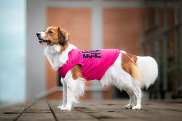 Vsepropejska Zala letní tričko pro psa Barva: Růžová