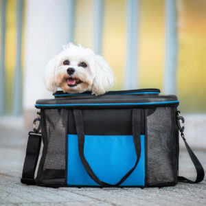 Vsepropejska Zaro cestovní taška pro psa | do 6 Kg