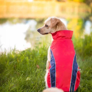 Vsepropejska Collar bunda pro psa s reflexními prvky Barva: Červená