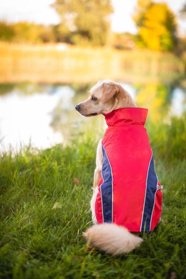 Vsepropejska Collar bunda pro psa s reflexními prvky Barva: Červená
